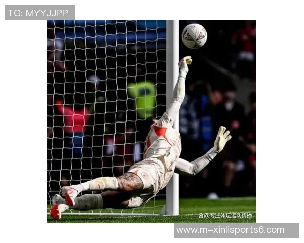 足球守门员精彩瞬间集锦视频分析技巧与训练方法分享